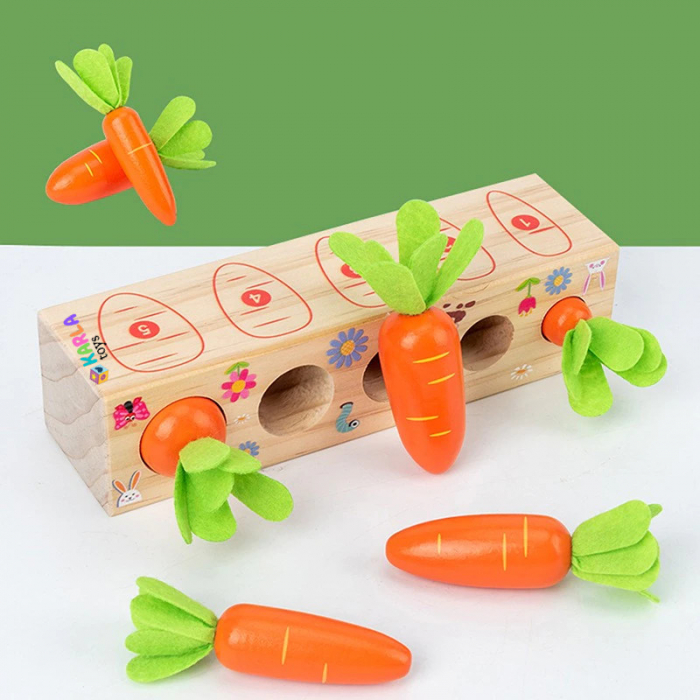 Joc Montessori de Motricitate Morcovi [2]