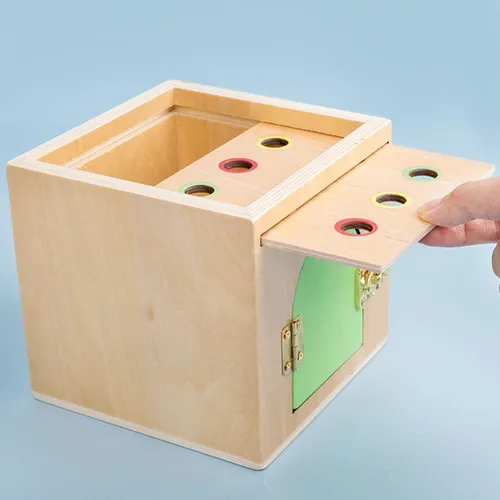 Jucarie educativa Montessori din lemn pentru recunoasterea formei si culorilor cu morcovi [5]