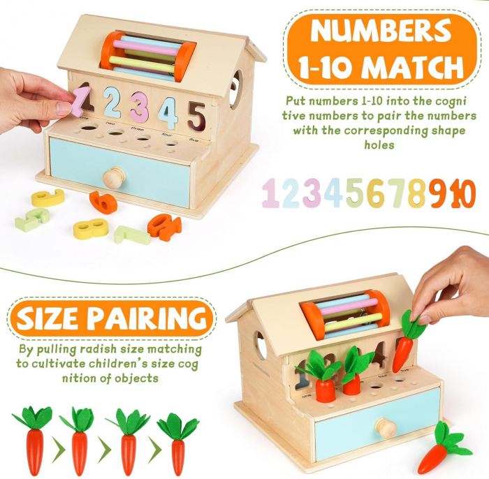 Jucarie Montessori din lemn 8 in 1 – Casuta cu activitati educative [12]