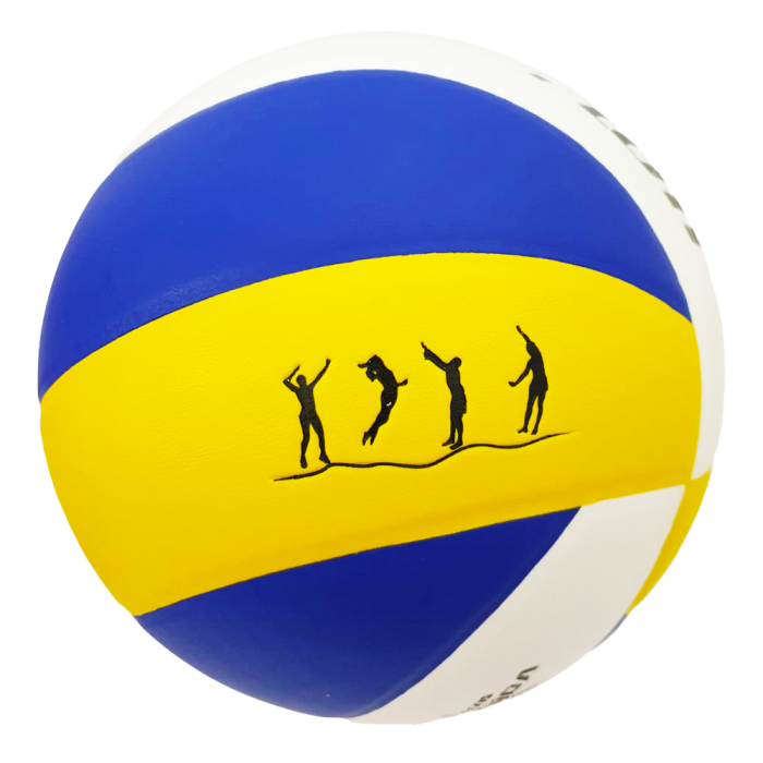 Minge Volei FLOTT, Mărime 5, PVC Laminat Albastru Galben [3]
