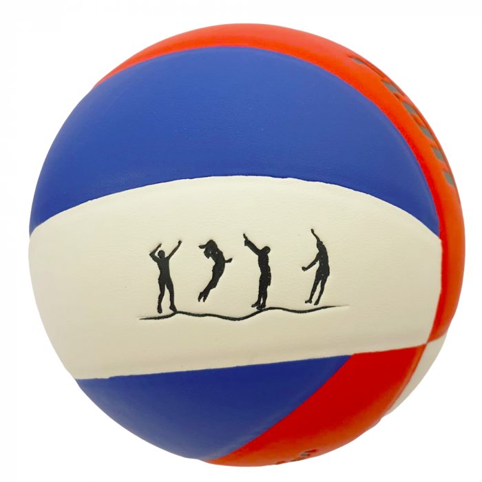 Minge Volei FLOTT, Mărime 5, PVC Laminat Albastru Rosu [3]