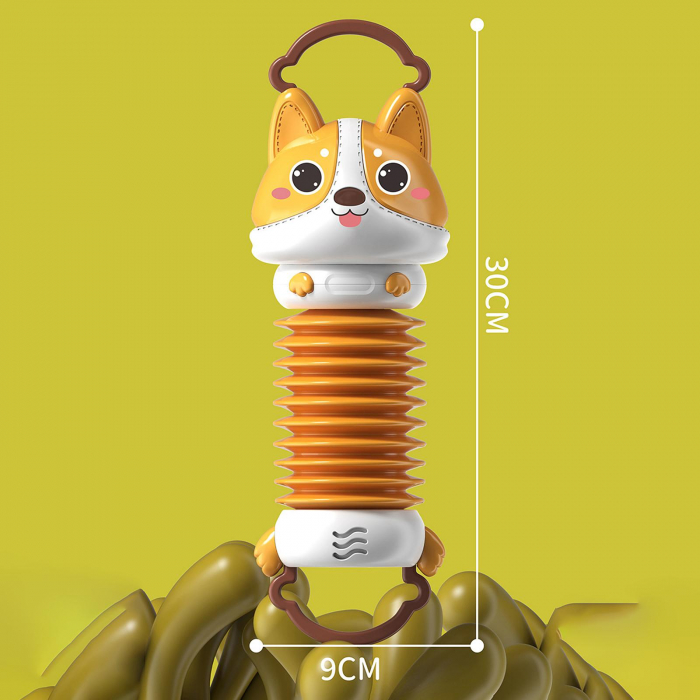 Jucarie Bebelusi Mini Acordeon cu sunete Catelus [2]