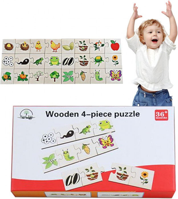 Puzzle asociere ciclul vietii 4 piese [2]