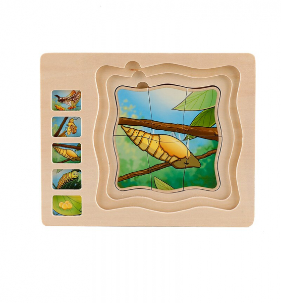 Puzzle din lemn in straturi Ciclul vietii Onshine Broascuta - Fluturas [5]