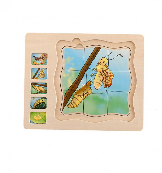 Puzzle din lemn in straturi Ciclul vietii Onshine Broascuta - Fluturas [6]