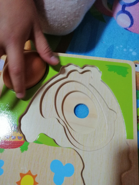 Puzzle din Lemn in Straturi Ciclul Vietii Puiul [9]