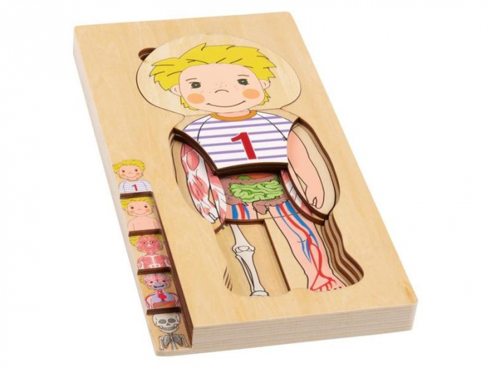 Puzzle Lemn Incastru Corpul Uman - Anatomie Onshine [4]