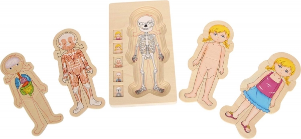 Puzzle Lemn Incastru Corpul Uman - Anatomie Onshine [8]