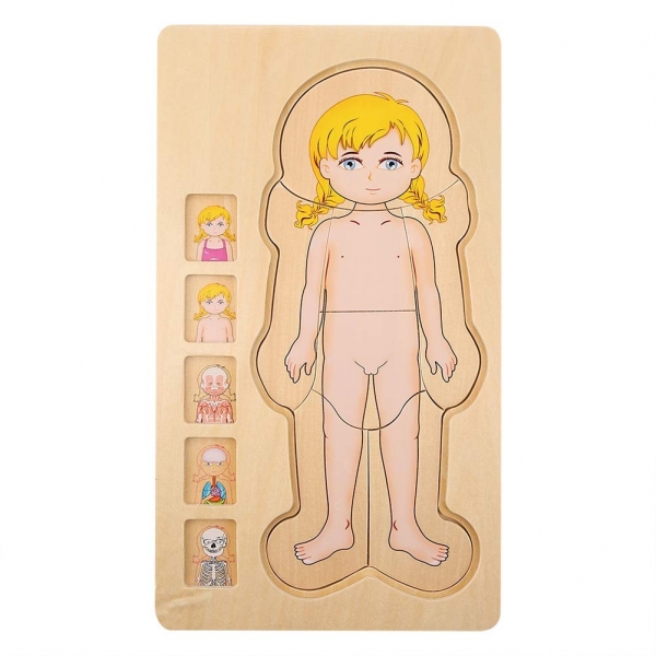 Puzzle Lemn Incastru Corpul Uman - Anatomie Onshine [5]
