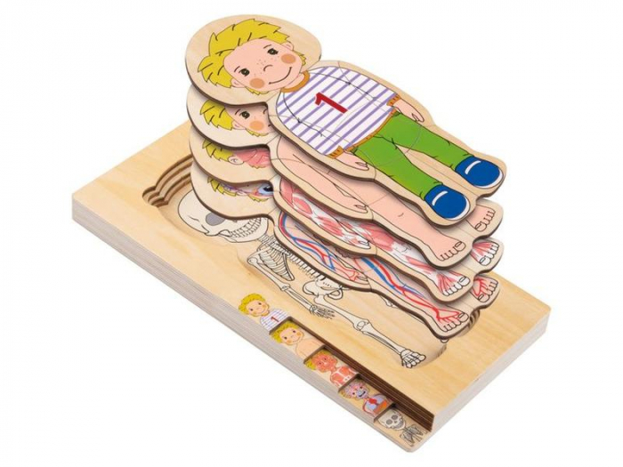 Puzzle Lemn Incastru Corpul Uman - Anatomie Onshine [2]