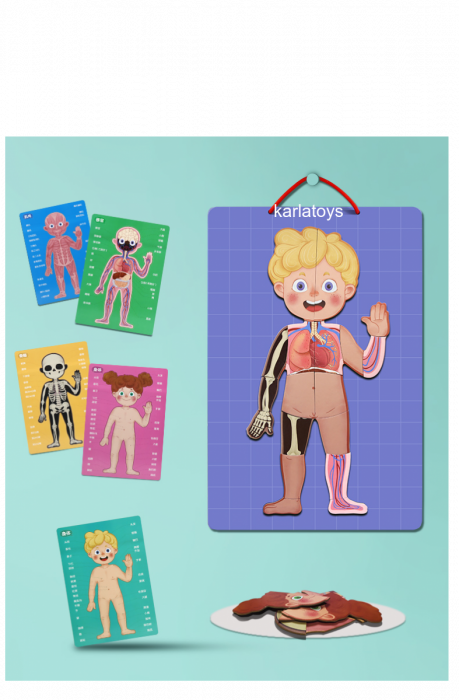 Puzzle magnetic din Lemn Corpul Uman Fetita si Baiat 90 de piese [3]
