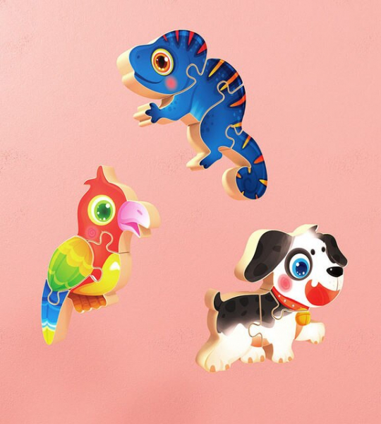 Puzzle Montessori incastru 3D - set 5 puzzle [8]