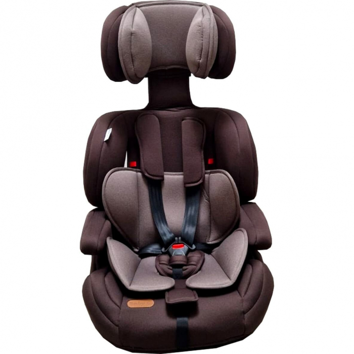 Scaun Auto Baby Care 9-36kg, i-Size 76-150cm, Spatar Detasabil [3]
