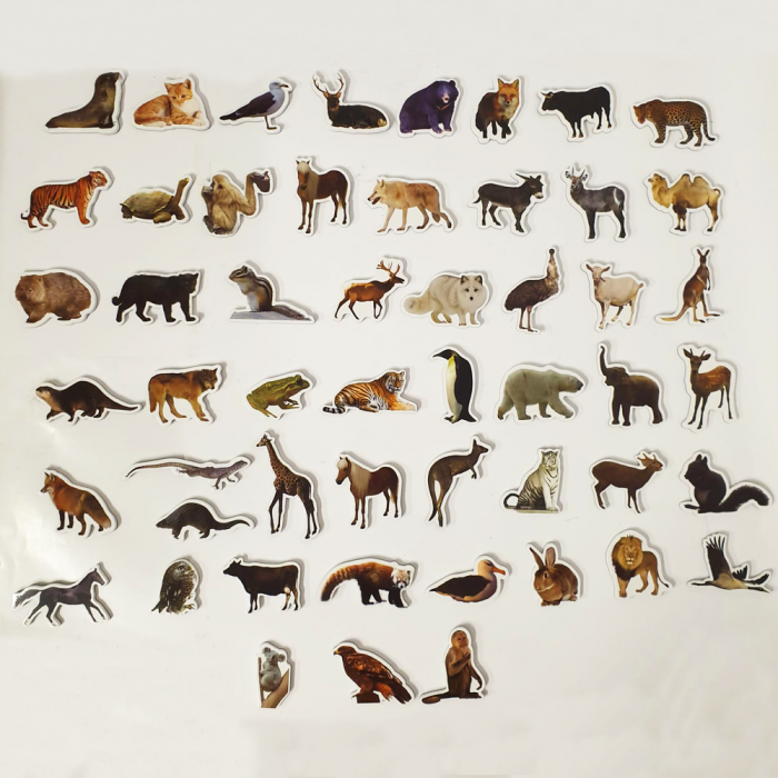 Set 47 Piese Magnetice din Spuma Lumea Animalelor Salbatice [2]