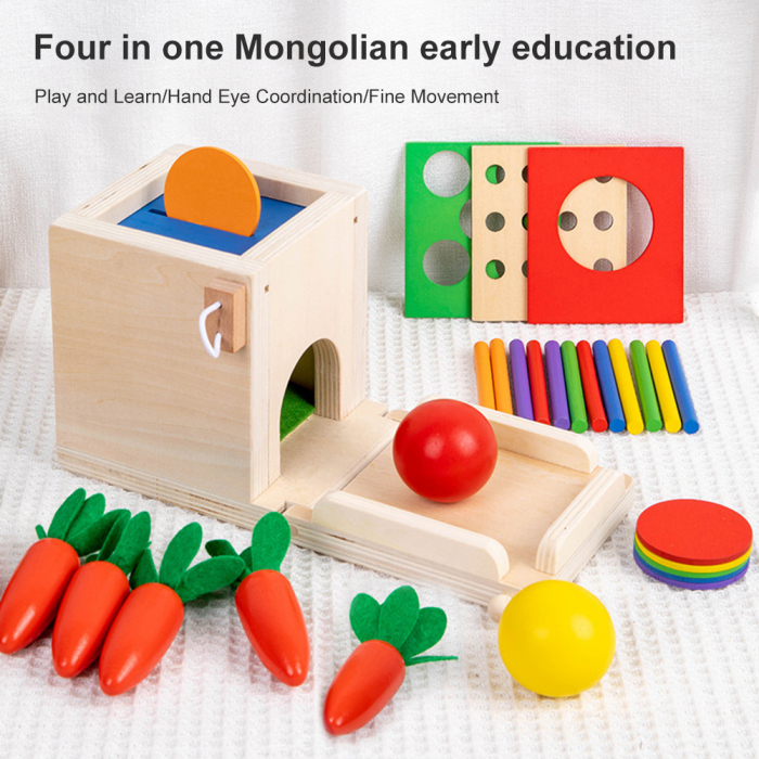 Set Joc educativ Montessori 4 in 1 Cutia permanentei sortare [10]