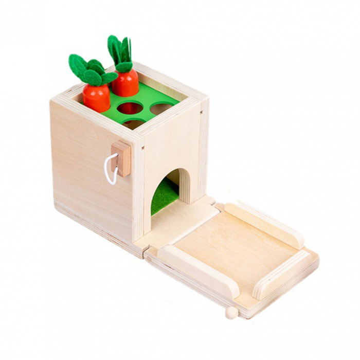 Set Joc educativ Montessori 4 in 1 Cutia permanentei sortare [12]