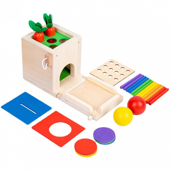 Set Joc educativ Montessori 4 in 1 Cutia permanentei sortare [2]