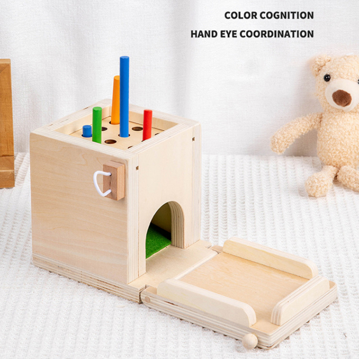 Set Joc educativ Montessori 4 in 1 Cutia permanentei sortare [9]