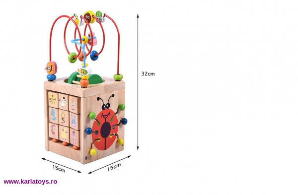 Cub Lemn Montessori educational Buburuza 6 in 1 [3]