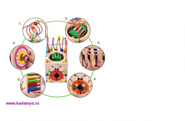 Cub Lemn Montessori educational Buburuza 6 in 1 [2]
