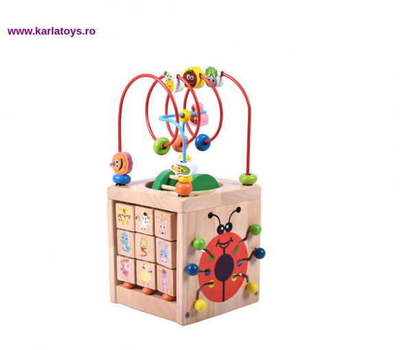 Cub Lemn Montessori educational Buburuza 6 in 1 [4]