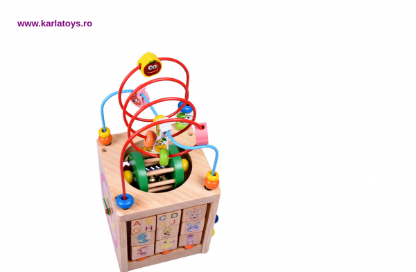 Cub Lemn Montessori educational Buburuza 6 in 1 [5]