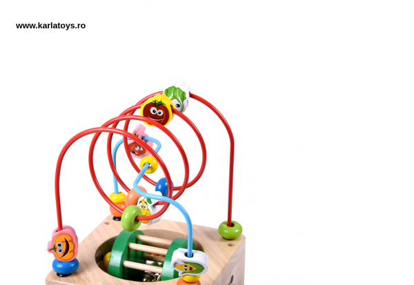 Cub Lemn Montessori educational Buburuza 6 in 1 [6]