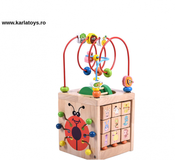 Cub Lemn Montessori educational Buburuza 6 in 1 [7]