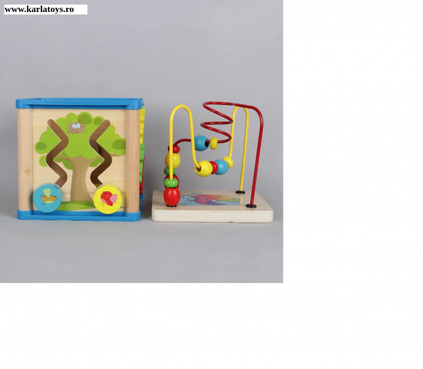 Cub din lemn 5 in 1 Wisdom Box [2]