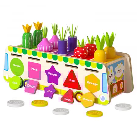 Jucarie Montessori din Lemn – Sortator de Forme & Culori [1]