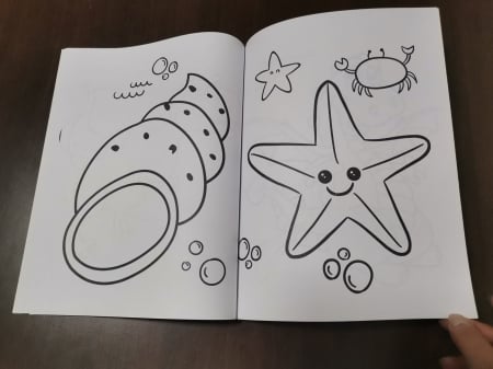 Set 3 Carti  de colorat pentru Copii cu desene Mari [16]