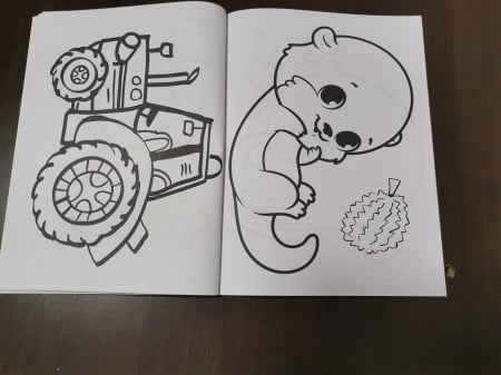 Set 3 Carti  de colorat pentru Copii cu desene Mari [13]