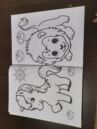 Set 3 Carti  de colorat pentru Copii cu desene Mari [15]