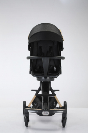 Carucior L-Sun pliabil, reversibil, cu lumini si muzica si 3 pozitii de inclinare, Negru cu Aripi aurii [3]