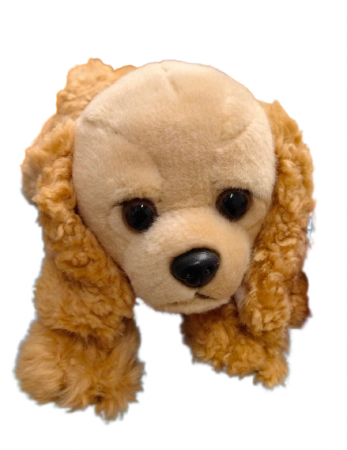 Catel din Plus Bej Caniche 40 cm [2]