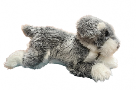 Catel din Plus Schnauzer 40 cm [1]