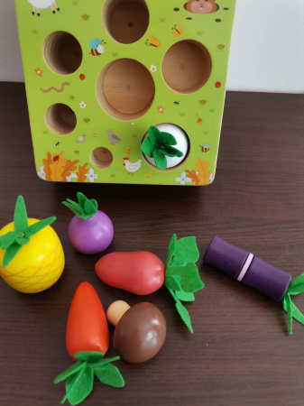 Joc interactiv Motricitate [3]