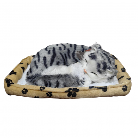 Jucarii din Plus - Mascote din Plus(3 ani +) - Pisicuta gri tarcat de plus, realista care doarme, cos bej