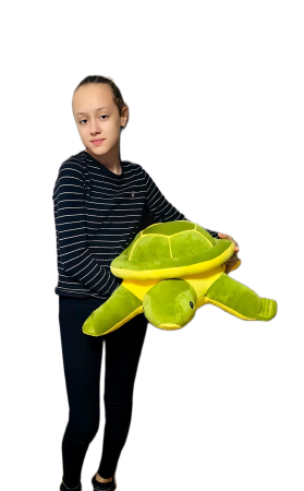 Jucarii - Jucarie Plus Broasca Testoasa 60 cm