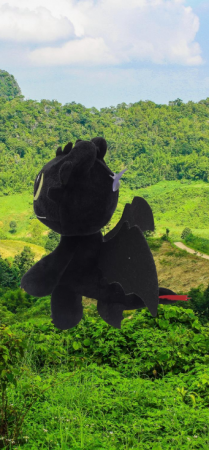 Jucarie de Plus Dragonul Night Fury Toohtless [1]
