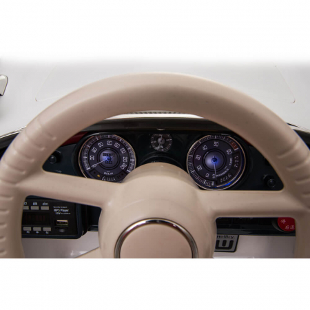 Masinuta de Epoca Electrica Copii cu Telecomanda BMW 507 12V Retro  Dim [4]