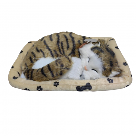 Jucarii din Plus - Mascote din Plus(3 ani +) - Pisicuta maro tarcata de plus, realista care doarme, cos bej