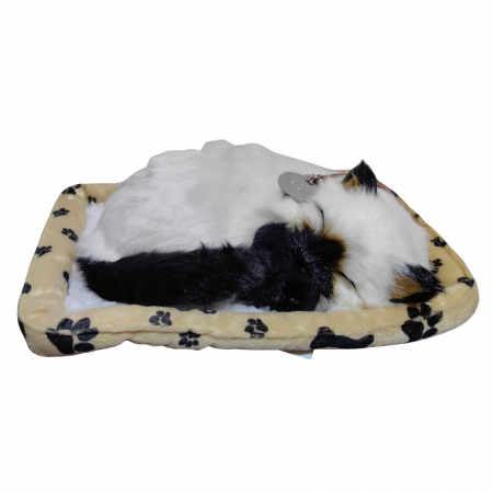 Jucarii din Plus - Mascote din Plus(3 ani +) - Pisicuta alba de plus, realista care doarme, cos bej