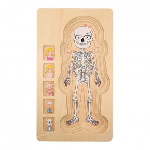 Puzzle Lemn Incastru Corpul Uman - Anatomie Onshine [1]
