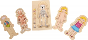 Puzzle Lemn Incastru Corpul Uman - Anatomie Onshine [7]