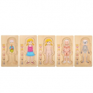 Puzzle Lemn Incastru Corpul Uman - Anatomie Onshine [6]