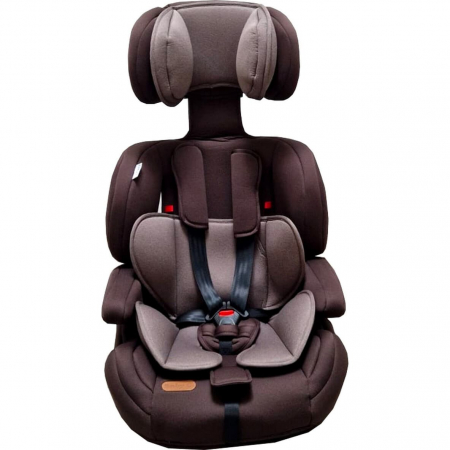 Scaun Auto Baby Care 9-36kg, i-Size 76-150cm, Spatar Detasabil [2]