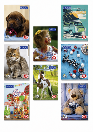Accesorii de Scoala - Set 10 Caiete A5, 48 File, Dictando, Design Colorat