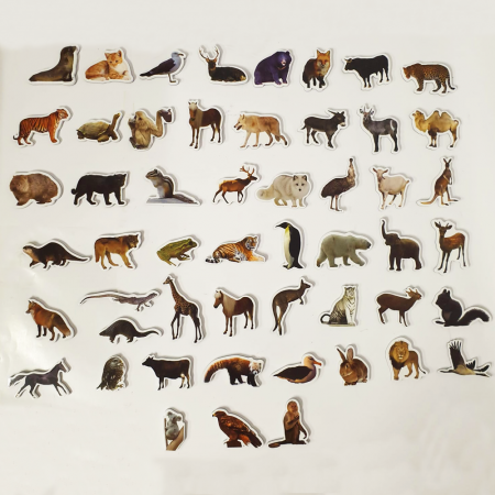 Set 47 Piese Magnetice din Spuma Lumea Animalelor Salbatice [1]