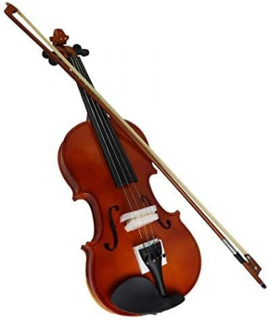 Vioara acustica pentru incepatori [1]